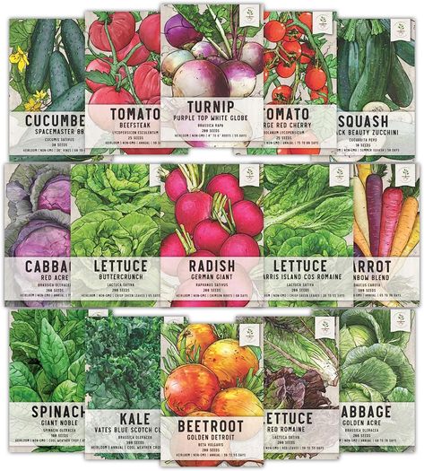 Seed Needs, Vegetable Seed Packet Collection Variety Pack (15 Varieties of Heirloom Vegetable Seeds for Planting) Organically Grow Your Own Produce Vegetable Seeds Packets, Supplements Packaging, Daucus Carota, Seed Packaging, Fall Vegetables, Heirloom Vegetables, Winter Vegetables, Fruit Seeds, Different Vegetables