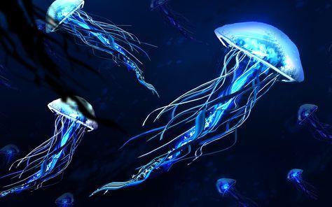 Jellyfishes 4K http://www.pixel4k.com/jellyfishes-4k-10623.html Artwork, Jellyfishes Jellyfish Photography, Wallpaper Homescreen, Blue Jellyfish, Ipad Background, Line Art Tattoos, Wallpaper Dekstop, Iphone Homescreen Wallpaper, Macbook Wallpaper, Wallpaper Size