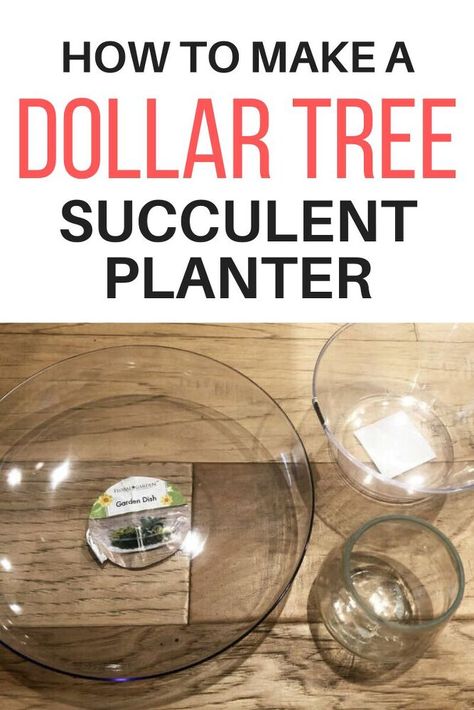 Check out this creative and easy home decor idea for succulent arrangements. This simple way to display your succulents makes for easy care and a cute succulent garden idea. #diy #succulents #planters Indoor Succulent Planter, Succulent Tree, Stencils Tutorials, Painted Baskets, Painted Terra Cotta Pots, Terracotta Plant Pots, Garden Idea, Home Decor Idea, Work Diy