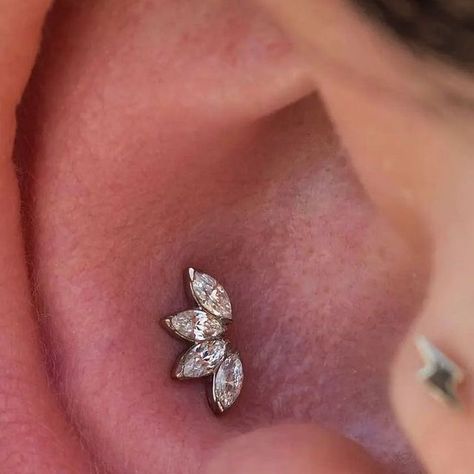 Shaman Modifications on Instagram: "Conch piercing by Jason (@piercerjason) using an 18k white gold 4 stone Marquise Fan Mini from @anatometalinc 🕊️" Conch Piercing Jewelry Studs, Inner Conch Piercing Studs, Conch Piercing Stud, Inner Conch Piercing, Inner Conch, Ear Styling, Conch Piercing Jewelry, Jewelry Piercing, Ear Style