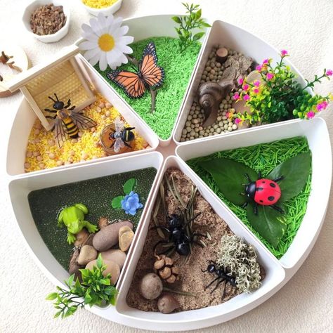 Laura | Inspire My Play ® on Instagram: “BUG HABITAT TRAY . Isn’t this the most inviting play tray from @minimundos_demimundo? There’s so much to explore and lots of different…” Sensory Play Tray, Inspire My Play Tray Ideas, Inspire My Play, Inspire My Play Tray, Playtray Ideas, Spring Tuff Tray, Bug Habitat, Insects Kindergarten, Tuff Tray Ideas Toddlers