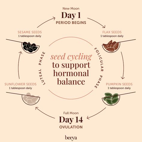 Seed Cycle, Hormone Nutrition, Hormone Diet, Seed Cycling, Womb Healing, Healthy Hormones, Hormonal Balance, Menstrual Health, Feminine Health