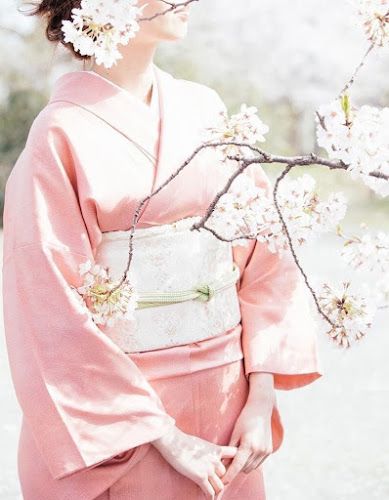 of Kimono and Hanbok Kimono Aesthetic, Japanese Mythology, Pink Kimono, Kimono Vintage, Japanese Geisha, Beautiful Kimonos, Blossom Tree, Cherry Blossom Tree, Kimono Dress