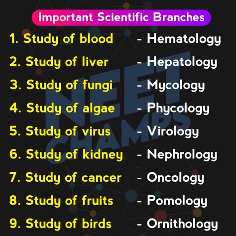 Here are some important scientific branches #neet #biology #science #fact Biology Pictures, Neet Biology, Branches Of Biology, Branches Of Science, Biology Science, Science Fact, Biology Notes, Amazing Nature Photos, Microbiology