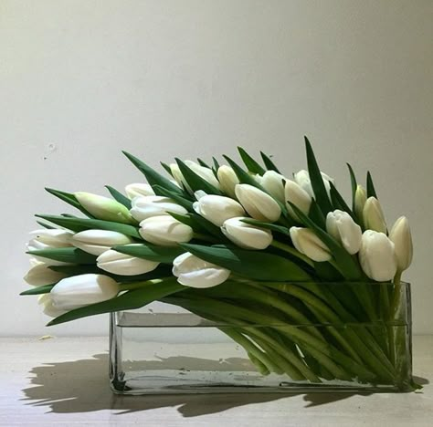 Tulpen Arrangements, Tulip Arrangement, Contemporary Flower Arrangements, Fresh Tulips, Tulips Arrangement, Gothic Bride, Spring Table Decor, Decoration Flowers, Vip Room