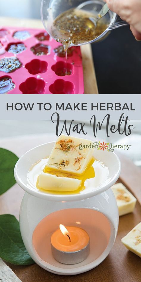 How to Make Wax Melts with Herbs and Natural Ingredients - Garden Therapy Wax Melts From Candles, Herbal Wax Melts, Herbs Recipes, Wax Melts Recipes, Natural Wax Melts, Diy Wax Melts, Diy Candles Homemade, Melt Recipe, Homemade Scented Candles