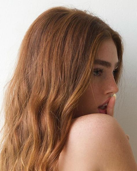 Eden chanel op Instagram: "<3" Eden Chanel, Tan Ginger, Lily Bloom, Black Iris, January 9, Hair Inspo Color, Light Hair, Ginger Hair, Bad Hair