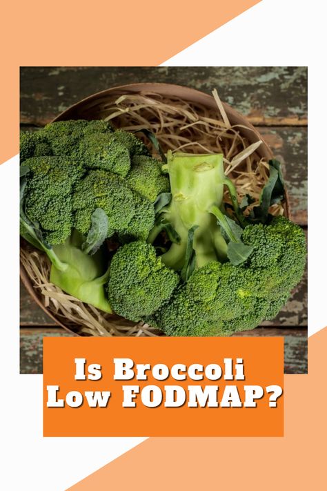 Doctors and nutritionists encourage people to eat cruciferous vegetables like broccoli, but does this hold true for people with IBS? Is broccoli low FODMAP, and is it a safe food for people with IBS? Ibs Vegetables, Food Map Diet, Low Fodmap Vegetables, Broccoli Vegetable, Fodmap Meal Plan, Broccoli Stalk, Cruciferous Vegetables, Raw Broccoli, Food Map