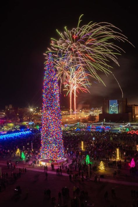 Enid Oklahoma, Fresh Cut Christmas Trees, Travel Tourism, Christmas Tree Farm, Tree Farms, Fresh Cut, Travel Information, Light Display, Twinkle Lights