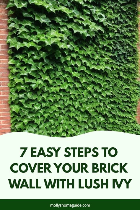 Discover the beauty of ivy crawling up a brick wall with our ultimate guide on how to grow ivy on brick walls effortlessly. Whether you have a small garden or a cozy patio, ivy can add an instant touch of charm and elegance to your outdoor space. Learn the best tips and tricks for planting, caring for, and training your ivy to climb up any brick surface. Decorate Brick Wall Outdoor, Ivy Walls Outdoor, Ivy On Brick, Types Of Ivy, Climbing Ivy, Boston Ivy, Ivy Wall, Outdoor Entryway, Front Courtyard