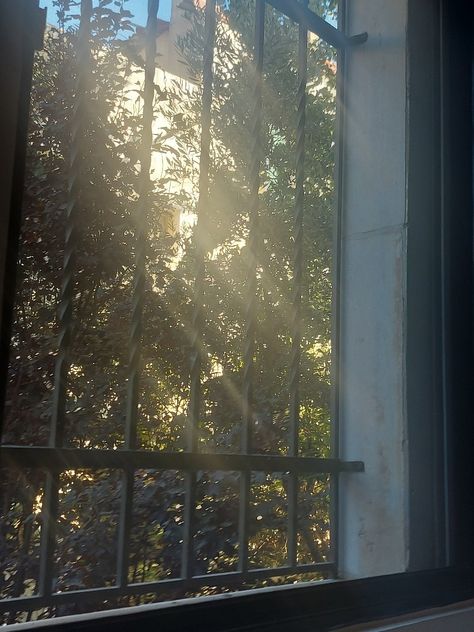 Trees , sun , early morning, paradise , window view , dreamy vibe , dreamy aesthetic, tree magic wooh, early bird Morning Bird Aesthetic, Early Morning Aesthetic Window, Early Bird Aesthetic, Vision Board House, Aesthetic Window View, Early Morning Aesthetic, Aesthetic Tree, Board House, Window Photography