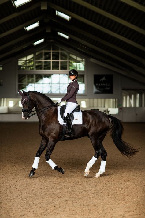 Equestrian Aesthetic Dressage, Dressage Horses Photography, Dressage Aesthetic, Dressage Photography, Dressage Videos, Olympic Equestrian, Horse Riding Aesthetic, Equestrian Outfit, Equestrian Dressage