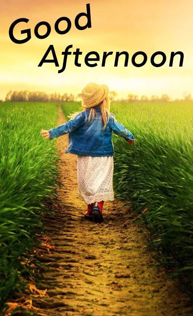 Good Afternoon Photos For Facebook Good Afternoon Images Beautiful, Good Afternoon Messages, Good Afternoon Images Hd, Afternoon Greetings, Afternoon Messages, Afternoon Wishes, Good Afternoon Images, Afternoon Images, Good Afternoon Everyone