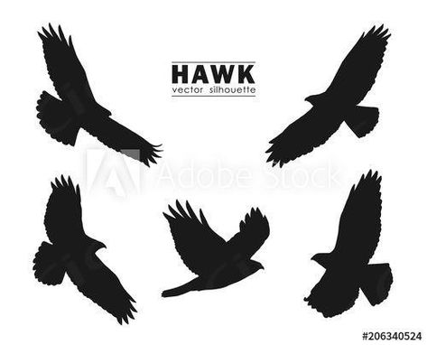 Stock Image: Vector illustration: Set of Silhouettes of flying Hawk isolated on white background. Black eagles. Hawk Silhouette, Flying Hawk, Bird Icon, Hawk Photos, Print Portfolio Design, Eagle Silhouette, Hawk Bird, Bird Logo Design, Sketch Icon