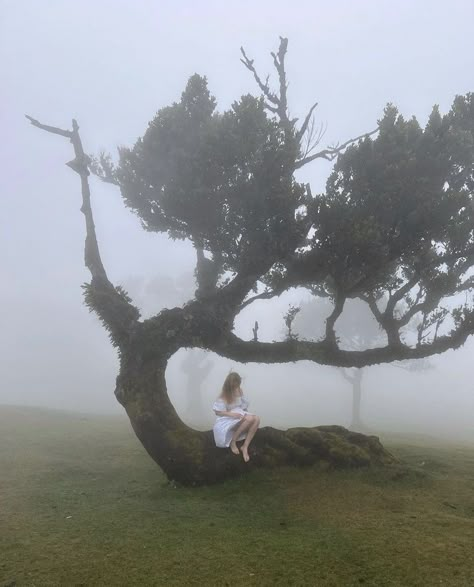 Mother Nature Aesthetic, Gardening Tiktok, Dreamlike Aesthetic, Twin Aesthetic, Yellowjackets Aesthetic, Forest Gardening, Lottie Matthews, Aesthetic Gardening, Model Tattoo