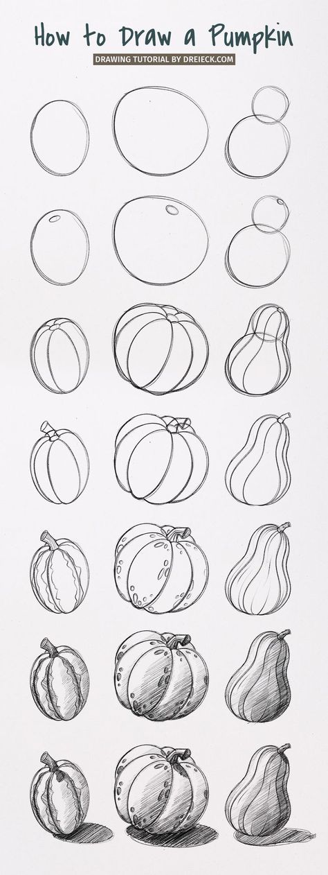 We want to draw a pumpkin! Today I’ll show you the best way to do it and draw many different pumpkins based on a simple technique. I’ll demonstrate all the drawing steps on three typical pumpkin variations. Draw A Pumpkin, Pumpkin Sketch, Drawing Steps, Pumpkin Drawing, Pencil Drawings For Beginners, Sketching Tips, A Level Art Sketchbook, Flower Drawing Tutorials, Want To Draw