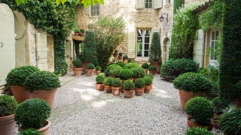 Gardening Lessons from the Quietly Stunning Landscapes of Provence | MONTECRISTO Betty Catroux, Outdoor Dining Room, Stunning Landscapes, Outdoor Living Room, Luxe Interiors, French Garden, Tuscan Style, Stone House, English Garden