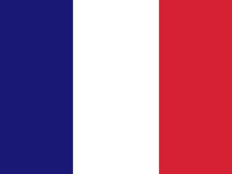 the tricolor flag of France. The national motto of France is liberté, egalité, fraternité. Tricolor Flag, Number Words Worksheets, Flag Of France, Tricolour Flag, French Wallpaper, Logo Wallpaper Hd, Home Lock Screen, France Flag, Bloom Winx Club