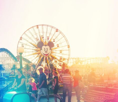 This is everything you need to know before you go to Disneyland! The best hacks, tips, and tricks to save time and make sure you have the best trip ever. Beach Near Disneyland, Saving For Disneyland, Disney Tips And Tricks, Disneyland Opening Day Pictures, Disneyland Hacks, Disneyland Meme, Picture Hanger, Travel Words, Disneyland Meme Funny