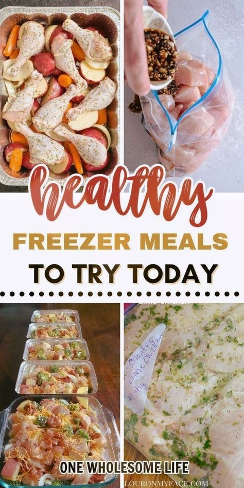 Easy Frozen Dinner Meals, Freezer Meals With Broccoli, Freezer Meals Scalloped Potatoes And Ham, Freezer Prep Meals Make Ahead, Non Casserole Freezer Meals, Healthy Freezer Dump Meals Crock Pot, Freezer Cube Meals, Premade Dinners Freezer Cooking, Simple Freezer Casseroles