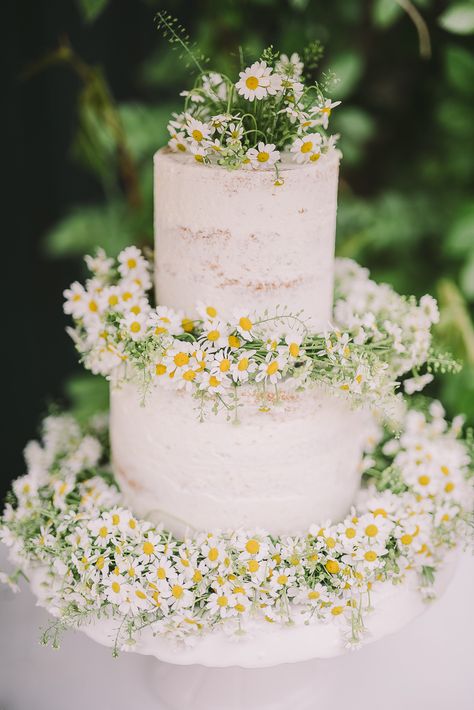 Simple Cottagecore Wedding Cake, Daisy Wedding Cakes, Wedding Cake Greenery, Daisy Wedding, Chocolate Wedding Cake, Fall Wedding Cakes, Cool Wedding Cakes, Wedding Cake Inspiration