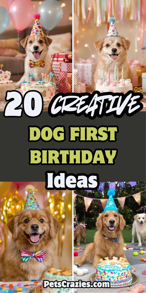 Pinterest pin showcasing four heartwarming dog birthday celebration photos arranged in a collage format. The title "20 CREATIVE DOG FIRST BIRTHDAY Ideas" appears in bold white, black, and lime green text on a dark background. Images feature mixed-breed dogs and Golden Retrievers wearing party hats and bow ties, posing with decorated birthday cakes, presents, and party decorations in pastel colors. The "PetsCrazies.com" watermark appears at the bottom. Dogs 3rd Birthday Party, Pups 1st Birthday, Dog’s First Birthday Party, Dogs First Birthday Party Ideas, Dog One Year Birthday, 1st Puppy Birthday Ideas, Diy Dog Party Hat, Puppy Birthday Ideas For Dogs, Senior Dog Birthday Party