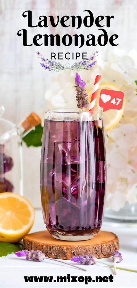 Lavender Lemonade - Mixop Lavender Lemonade Recipe, Spring Drink Recipes, Lavender Drink, Nonalcoholic Party Drinks, Easy Party Drinks, Fun Party Drinks, Fall Drink Recipes, Flavored Lemonade, Easy Alcoholic Drinks