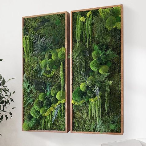 Our range of one-of-a-kind indoor moss wall art embodies serenity, natural appeal, and elegance. Using naturally preserved Reindeer Moss, Fern Moss, and Bun Moss, we create sustainable, maintenance-free, long-lasting moss art pieces. Each piece we create is perfectly unique and created to fulfill your needs for tranquility, serenity, and love for nature. 

This organic design has a collection of pillow moss, mood moss, and ball moss along with Amaranthus, preserved ferns, and other fern species. Mos Wand, Diptych Art, Moss Decor, Plant Wall Decor, Reindeer Moss, Moss Wall Art, Custom Wall Decor, Moss Art, Preserved Moss