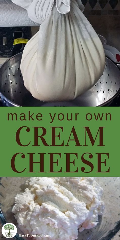 Cream Cheese Homemade, Cheese Recipes Homemade, Cream Cheese Recipe, Cheese Making Recipes, Goat Milk Recipes, Homemade Cream Cheese, Diy Cheese, Make Cream Cheese, Homemade Butter