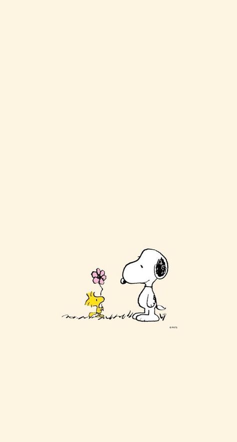 Wallpaper For Samsung, Peanuts Wallpaper, Snoopy And Woodstock, Disney Wallpaper, Woodstock, Background Images, Snoopy, Tablet, Wallpapers