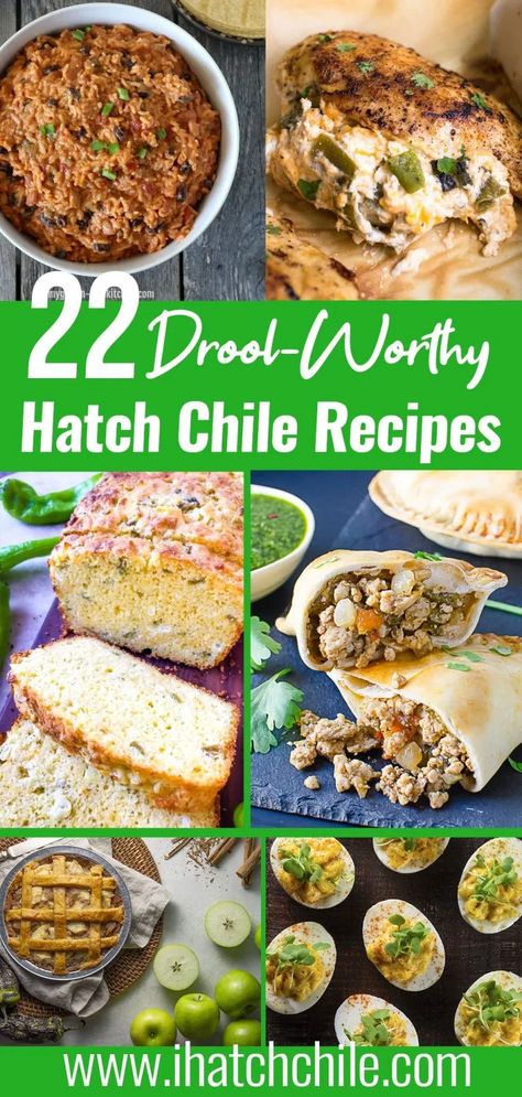 Chicken And Hatch Chili Recipes, Fire Roasted Hatch Chili Recipes, Hatch Chilies Recipes, Hatch Recipes, Recipes With Hatch Peppers, Hatch Chiles Recipes, Roasted Hatch Chili Recipes, Dried Hatch Chile Recipes, Chile Pepper Recipes