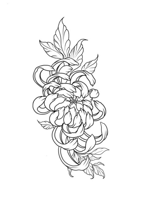 Chrysanthemum Tattoo Linework, Crisanthiums Flower Tattoo Design, Chrysanthemum Tattoo Drawing, Chrysanthemum Tattoo Outline, Chrysanthemum Tattoo Stencil, Crythanthimum Tattoo Design, Chrisantemum Flower Drawing, Chrysthemum Flower Tattoo, Flower Tattoos Chrysanthemum