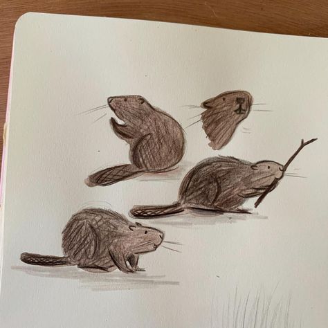 How To Draw A Beaver, Beaver Drawing Simple, Cute Beaver Drawing, Beaver Drawing Cute, Beaver Doodle, Oregon Animals, Beaver Watercolor, Beaver Embroidery, Beaver Painting