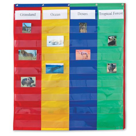 2 & 4 Column Double-Sided Pocket Chart Maths For Beginners, Pocket Charts, Teacher Accessories, Higher Order Thinking, Honor Roll, Inspire Students, Home Daycare, Animal Habitats, Pocket Chart