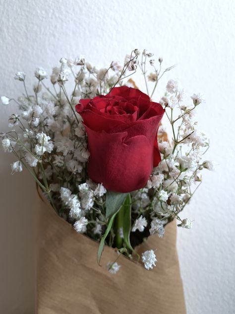 Single Rose with Gypsophila. Simple yet full of love Single Rose Arrangement, Simple Red Rose Bouquet, Small Red Flower Bouquet, Simple Red Flower Bouquet Gift, Small Red Rose Arrangement, Hand Tied Bouquet, Single Rose, Fresh Flowers Arrangements, Full Of Love