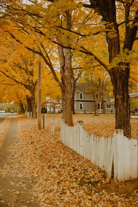 #fall #autumn #mariewhitephotography Fall Aesthetic Decor, Fall Room Inspiration, Witchy Room Aesthetic, Front Porch Decor Fall, Backgrounds Autumn, Fall Room Decor Ideas, Cute Fall Backgrounds, Wallpapers Autumn, Fall Iphone Wallpaper