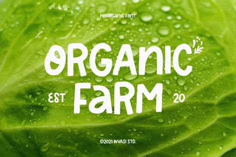 Moreganic - Organic Font on Behance Farm Fonts, Organic Branding Design, Organic Font, Healthy Food Branding, Food Font, Healthy Food Logo, Sustainability Report, Organic Branding, Eco Brand