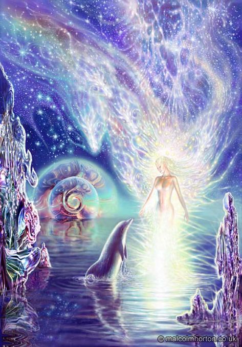 "Spirituality is the art of transfiguration" ~ John O'Donohue ♥♥ Beautiful Art by Malcom Horton 5th Dimension, Dolphin Art, Spiritual Artwork, Magical Art, New Earth, Mystical Art, Visionary Art, Arte Fantasy, Jena