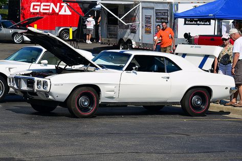 1967 Chevelle Ss, 1967 Chevelle, 1970 Chevelle, Pontiac Trans Am, Pontiac Cars, Firebird Trans Am, Chevelle Ss, Lake Ontario, Sports Car Racing