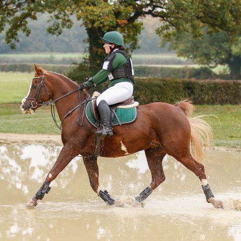 The Girl with the Jumping Arabs – A Competitor - The Arabian Magazine Arabian Horse Riding, Arabian Horse Jumping, Pony Finals, Aesthetic Horses, Country Horses, Aesthetic Horse, Drawing Horses, Riding School, Horse Things