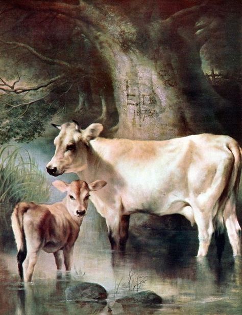 Domesticated Animals, Cow And Calf, Painting Animals, Animal Action, Jersey Cow, Cow Pictures, Dairy Farm, Farm Art, Cow Calf