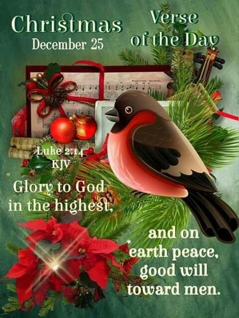 December Verses, December Scriptures, Images Of Christmas, Words Of Faith, Christmas Verses, Todays Verse, Weekday Quotes, Daily Blessings, Bible Images