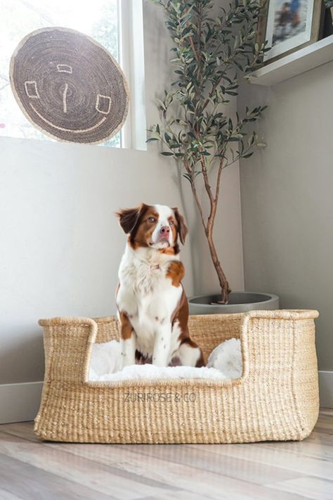 XL Rectangle Woven Dog Bed Basket Dog Basket Handmade Dog Bed Comfortable Dog Bed Wicker Dog Bed African Dog Bed Natural Pet Bed - Etsy Dog Bed Basket, Wicker Dog Bed Baskets, Rattan Pet Bed, Wicker Dog Bed, Wooden Dog Bed White And Brown, Dog Beds Rattan Large, Grey Wicker Dog Bed, Basket Dog Bed, Dog Basket