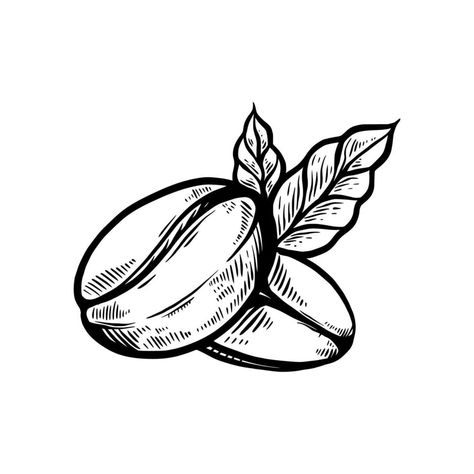 Coffee Been Drawing, Coffee Beans Tattoo Ideas, Coffee Leaf Illustration, Coffee Bean Sketch, Vintage Coffee Illustration, Coffee Leaf Logo, Coffee Bean Art Drawing, Coffee Bean Doodle, Coffee Beans Tattoo