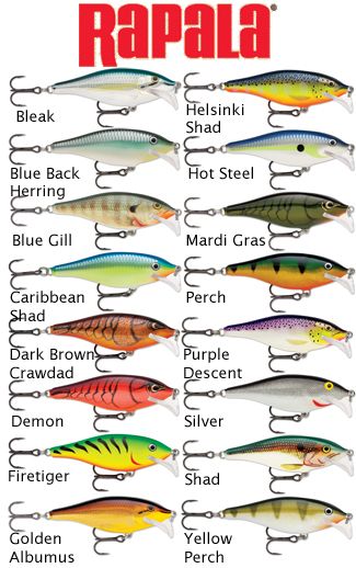 Rapala Fishing Lures, Homemade Fishing Lures, Diy Fishing Lures, Salt Water Fishing, Fly Fishing Tips, Bass Fishing Lures, Bass Fishing Tips, Fishing Diy, Fishing Rigs