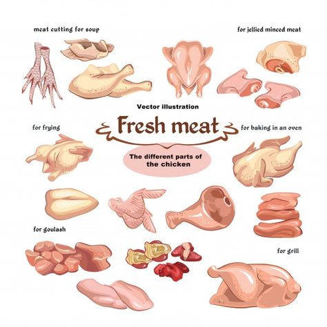 Meat Cooking Chart, Chicken Drawing, Chicken Illustration, Cooking The Perfect Steak, Drawn Icons, Chicken Meat, Raw Chicken, Chicken Art, Fresh Meat