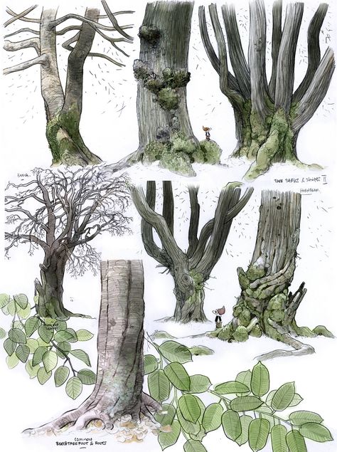 Arte Sketchbook, Tree Drawing, Visual Development, Environment Design, Art And Illustration, Environment Concept Art, Alam Yang Indah, Realistic Drawings, Environmental Art