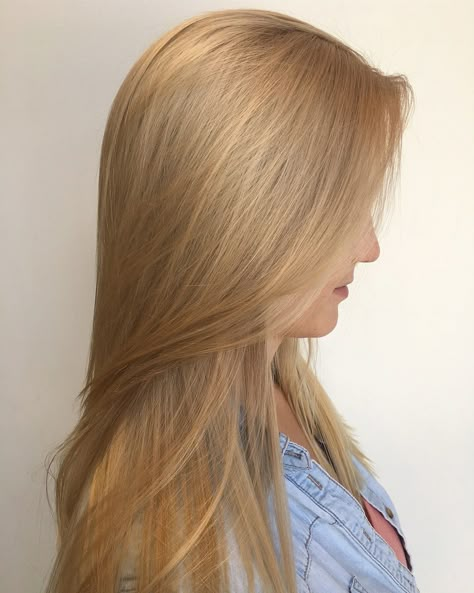 Warm Blonde Hair, Golden Blonde Hair, Honey Blonde Hair, Hair Guide, Blonde Hair Inspiration, Hair Stylies, Hair Shades, Long Blonde, Short Blonde Hair