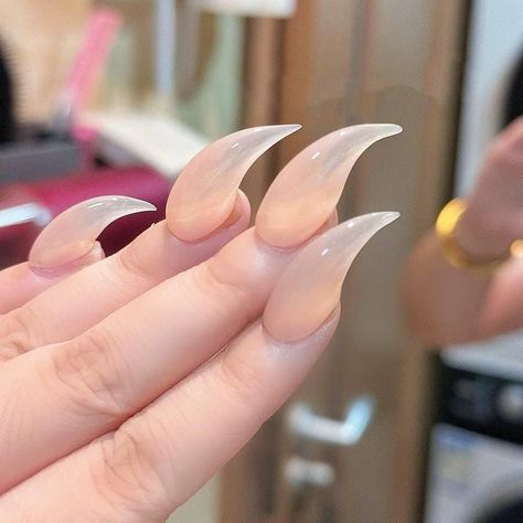 Achieve stunning nails without a trip to the salon! These glue-on nails are super easy to apply and give you a flawless finish that lasts. 💖 Whether you're going for casual or chic, they offer long-lasting durability and gorgeous designs. Ready for a nail makeover? 🌸 #GlueOnNails #EasyManicure #FlawlessNails #DIYBeauty #NailStyle #LongLastingCall to Action: 💅 Click the link below to get your set of glue-on nails on Amazon and elevate your look in no time! ✨ Cat Claw Acrylic Nails, Curved Stiletto Nails, Cat Claw Nails, Gel Nails Long, Feather Nails, Couture Nails, Eagle Claw, Claw Nails, Goth Nails