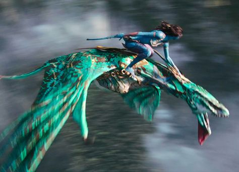 Neytiri Icon, Avatar Animals, Avatar 2009, Avatar 2, Avatar Movie, Tim Burton, Role Playing, Movies Showing, Avatar